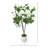 Hydrangea Tree in Fiberstone Pot