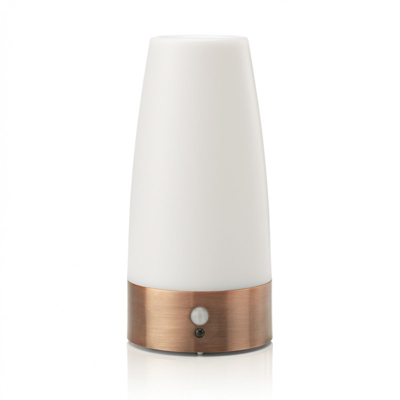 Aidrianna Night Light