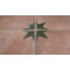 Carreau de porcelaine pour plancher et mur 17-7 / 8 po x 17-7 / 8 po Kings Nonna-124985218