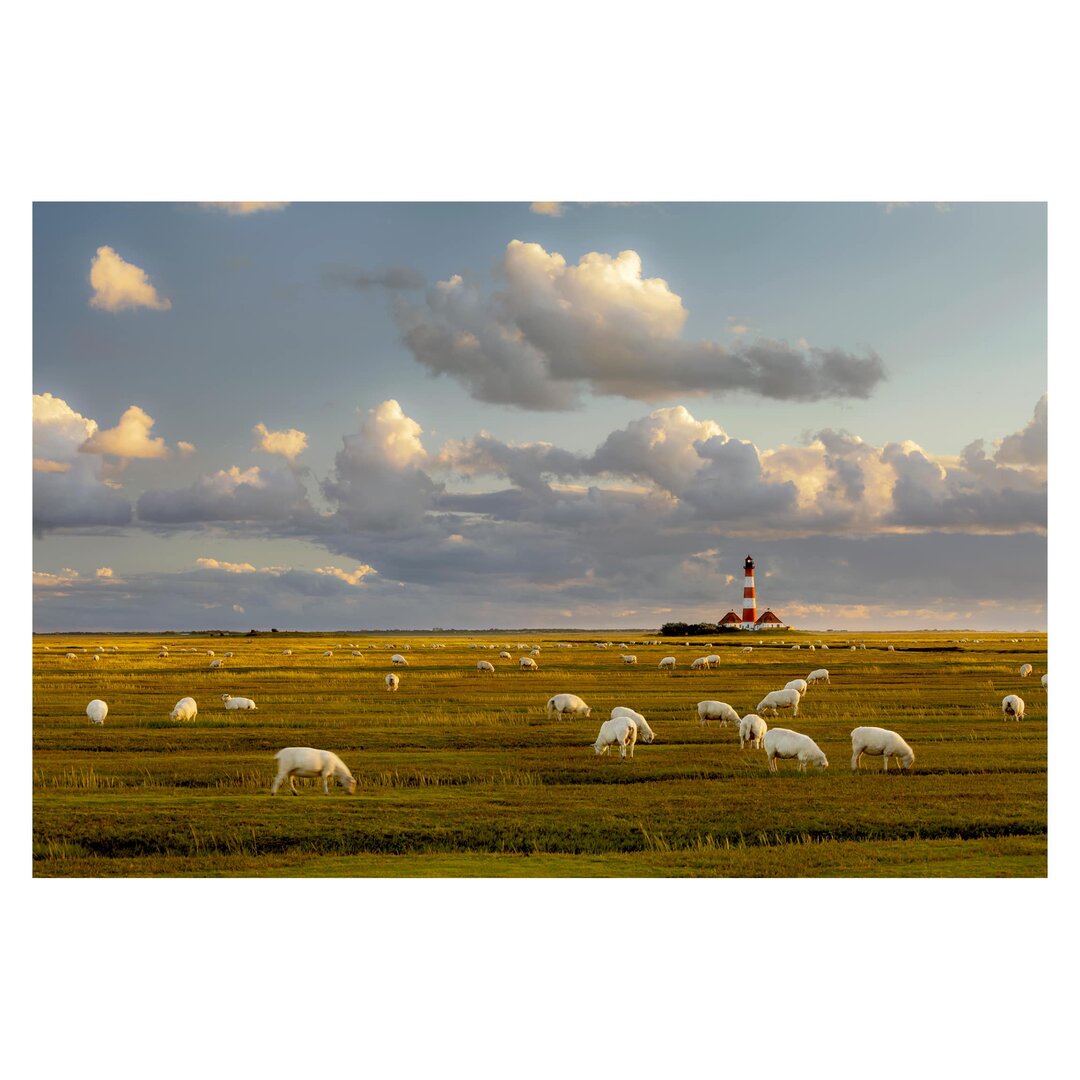 Strukturierte Tapete North Sea Lighthouse with Herd of Sheep 1,9 m x 288 cm