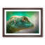Green Lizard in Abstract - Picture Frame Graphic Art Print-55736228-55736233