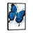 Beach Butterfly by Ashvin Harrison - Print on Canvas-57291240-57291247