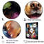 Chihuahua charisme sur toile-2082487618-2082487621
