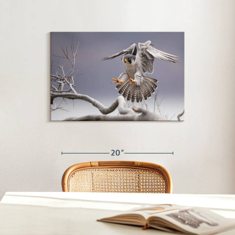 Peregrine Falcon, 16" H x 24" W