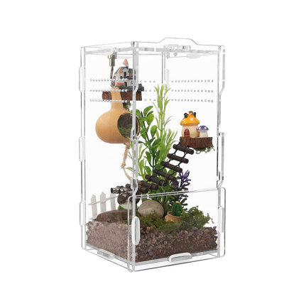 Enceinte de saut vertical en acrylique 8 po x 4 po x 4 po - Terrarium arboricole Tarantula, habitat pour reptiles pour les lézards, les geckos et les escargots