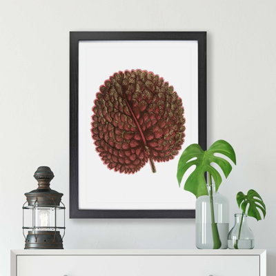 Plant Leaf by Benjam in Fawcett - Framed Print