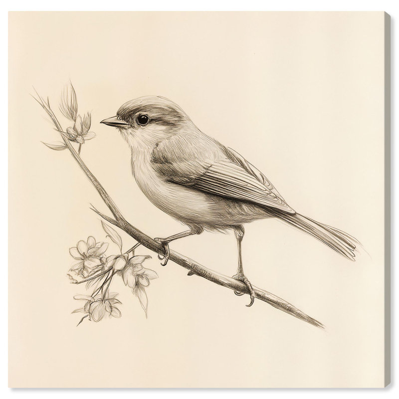 Nest Niche Canvas Vintage Illustrations by Art Remedy, H 40 po x l 40 po, Toile tendue avec châssis
