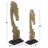 Equo Gold Sculpt Set 2