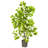 36'' Faux Ficus Tree in Planter