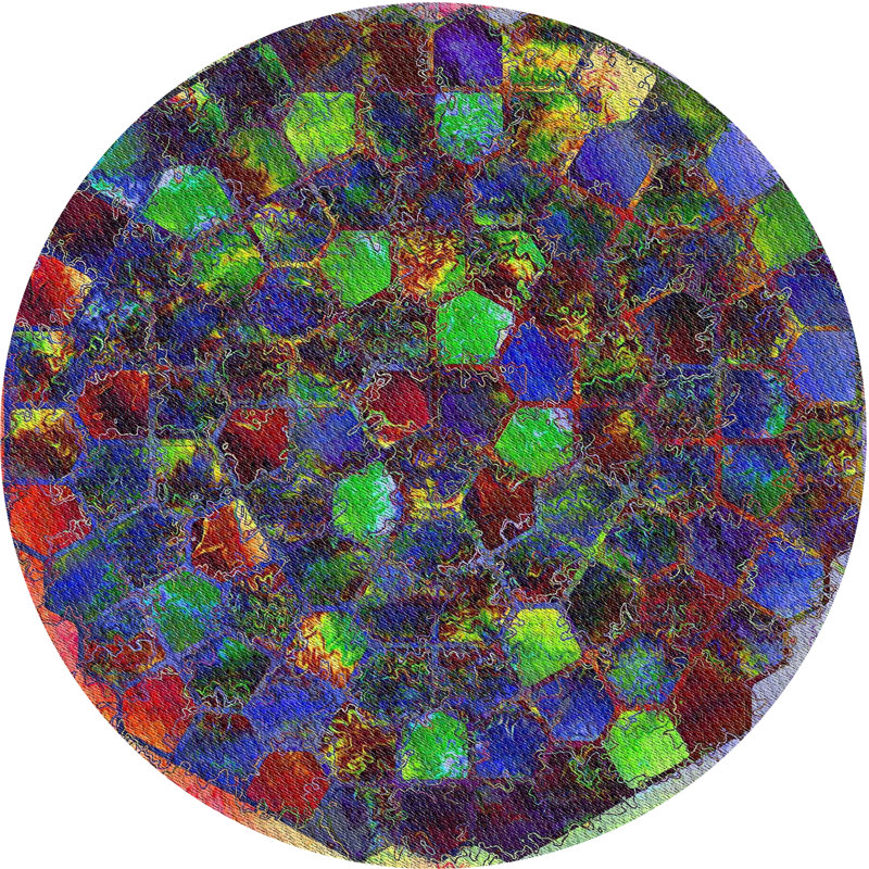 Tapis bleu, Rond 5 pi