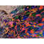Ripley Believe It Or Swirl Print by Gabriel Boyajian-65801717-65801719