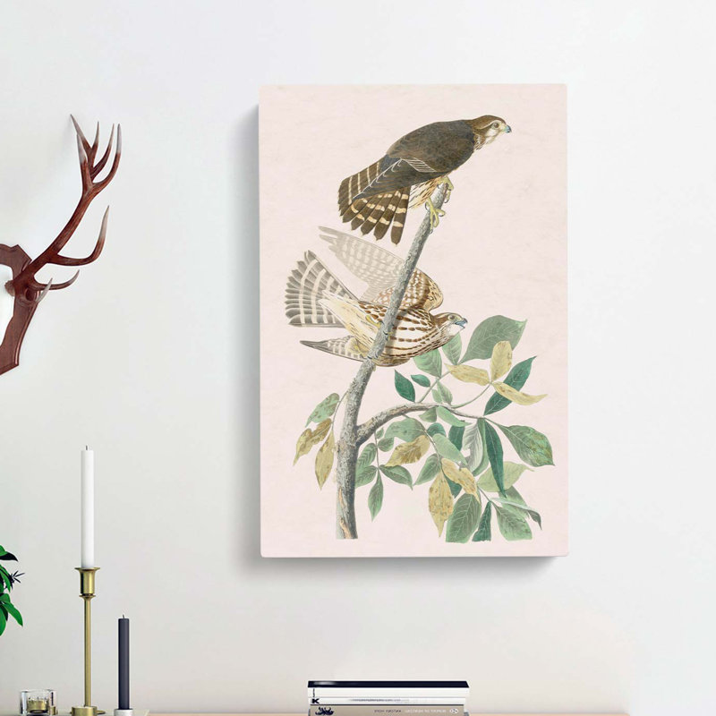 Pigeon Hawks by John Audubon - Wrapped Canvas, 60cm H x 40cm W x 3cm D