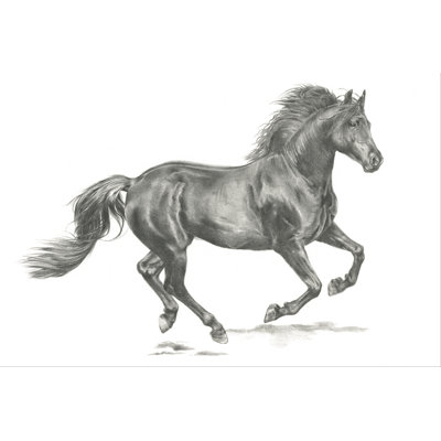 Wild Horse Portrait II by Jennifer Paxton Parker - Painting