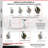 4 Piece Phenolic Caster Set
