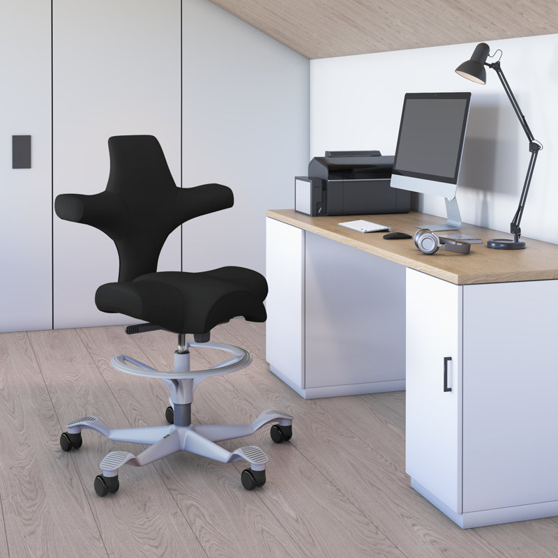 Fauteuil réglable en hauteur avec repose-pieds HœG Capisco, Argent argent, Noir