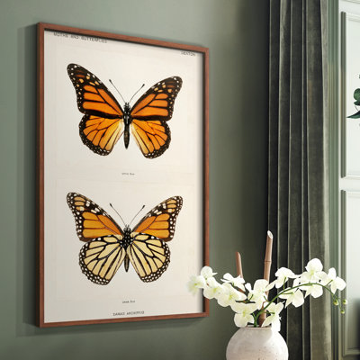 «Vintage Animal Print XXII», reproduction encadrée sur papier