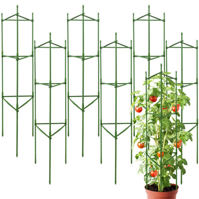 Cage à tomates, ensemble de 6, support en métal pour plantes à légumes et plantes grimpantes