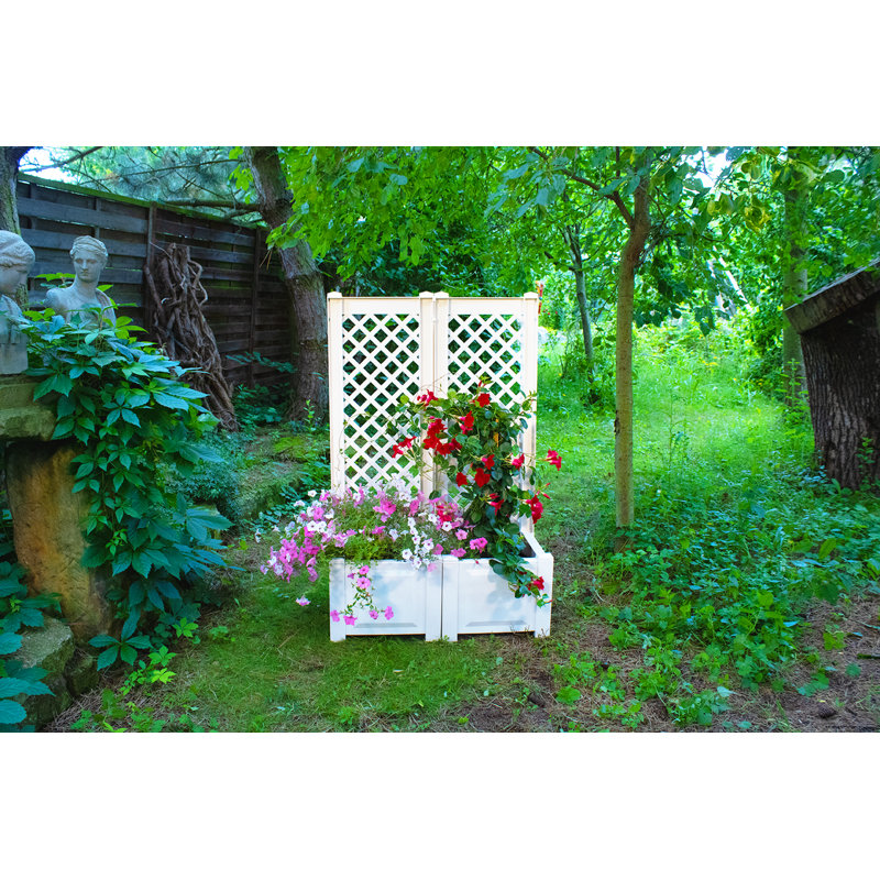 Aalisha Planter Box, White, Set of 2