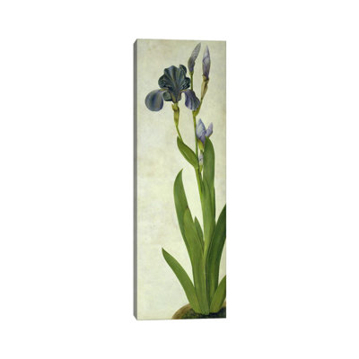 " An Iris "