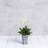 Sewickly Pot Planter-683715966-683715965