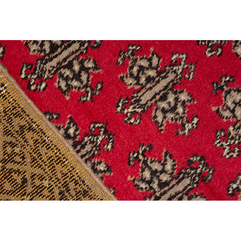 Hand-Knotted High-Quality Area Rug