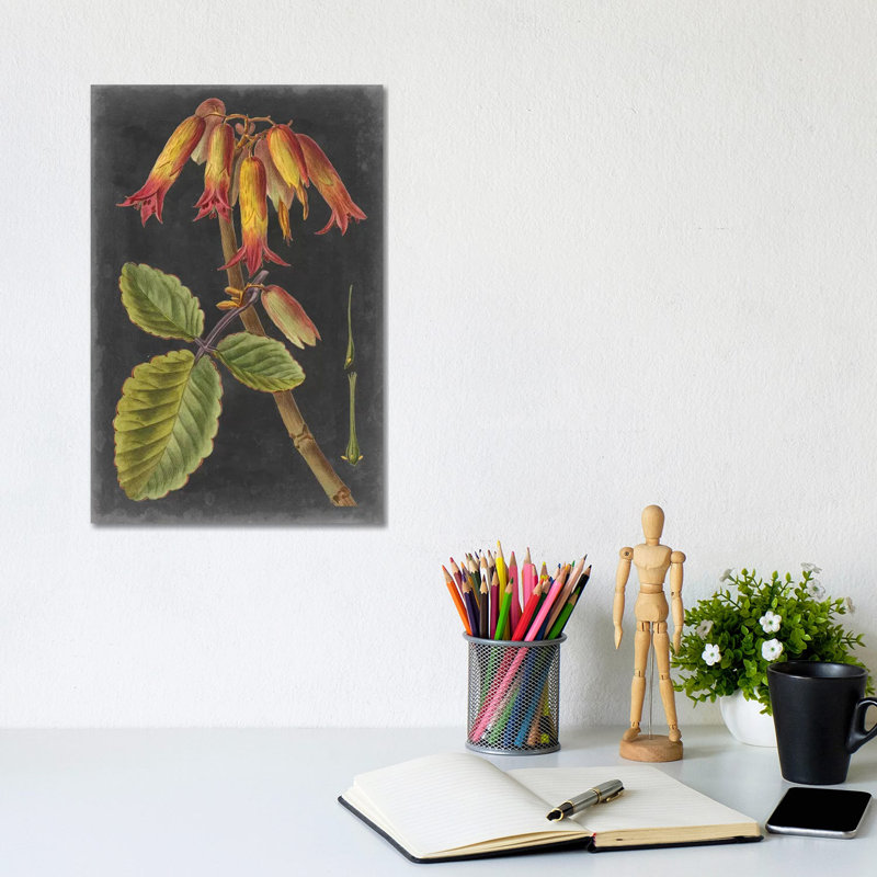 Dramatic Tropicals III by Vision Studio - Wrapped Canvas Painting, 20.32 cm H x 30.48 cm W