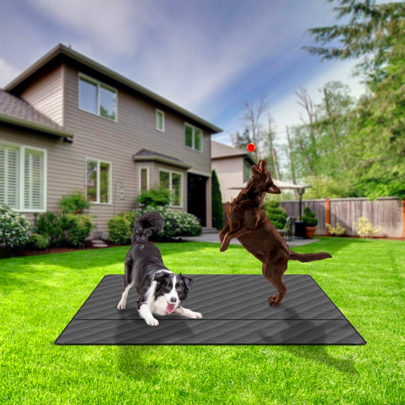 Tapis lavable pour chien, parc, lit, canapé et coffre, H 0,2 po x l 48 po x P 48 po, Noir