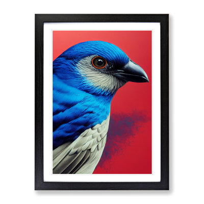 Splendid Bird - Wrapped Canvas Print