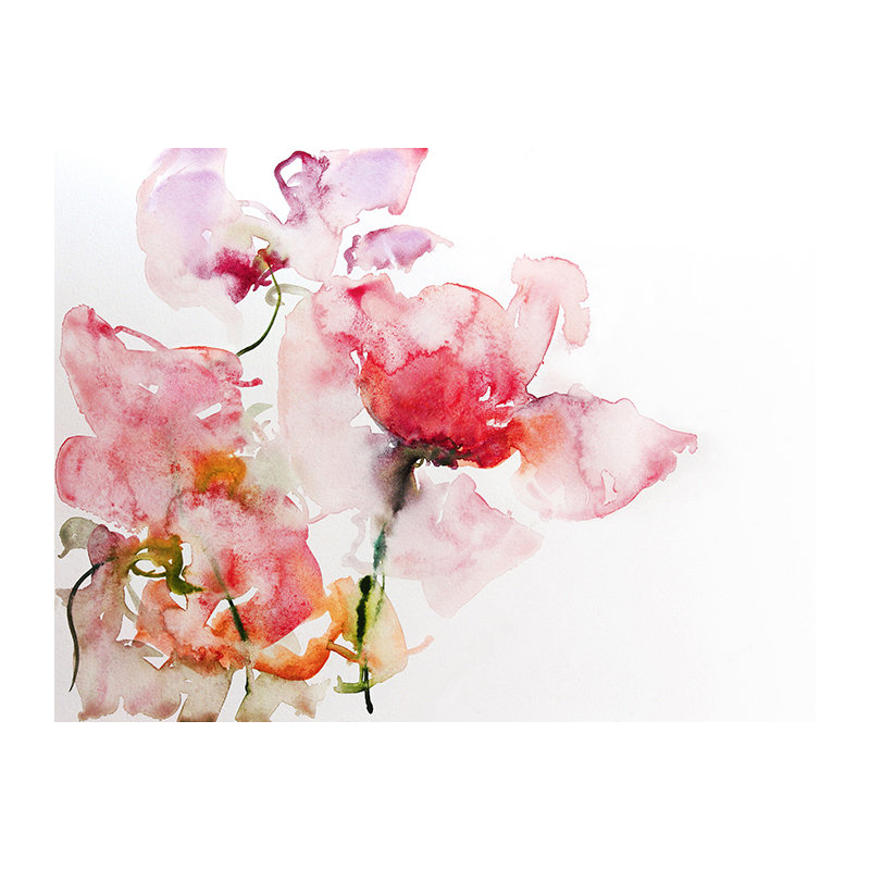Aeman 1.52m x 1.04m Matte Mural, 360 x 250cm
