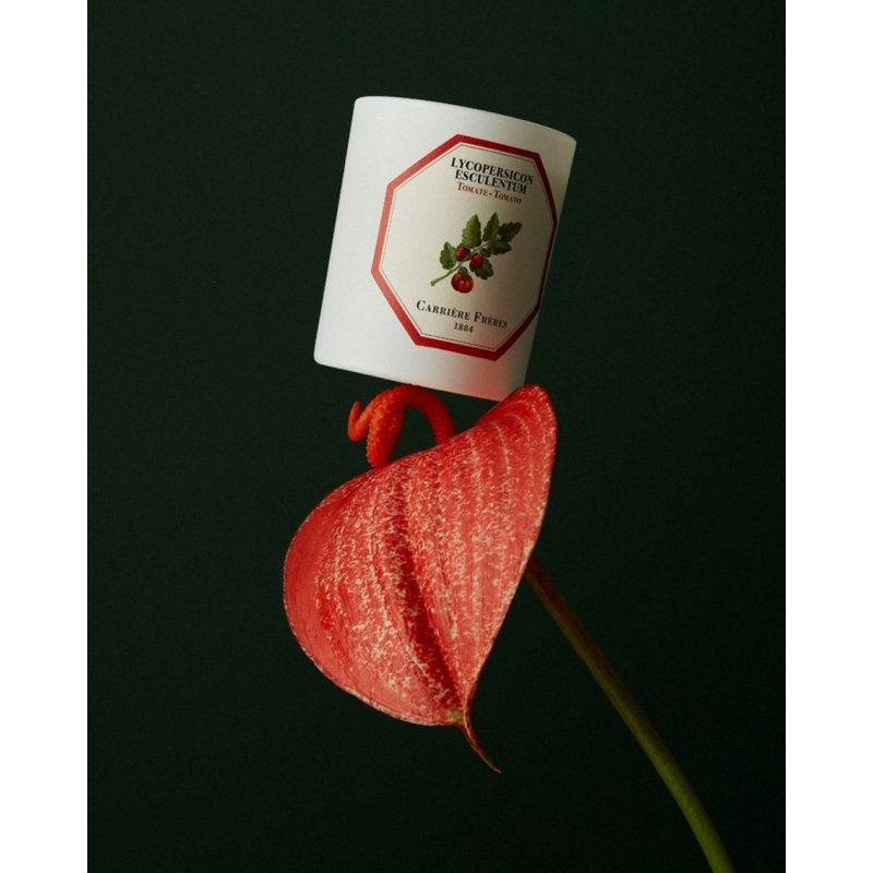 Tomato Candle