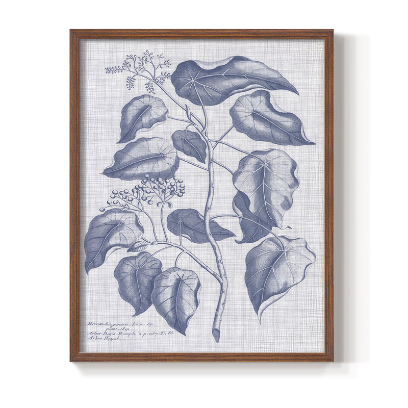 Bleu marine et lin, reproduction botanique encadrée - bois massif, H 11 po x l 9 po, Noyer