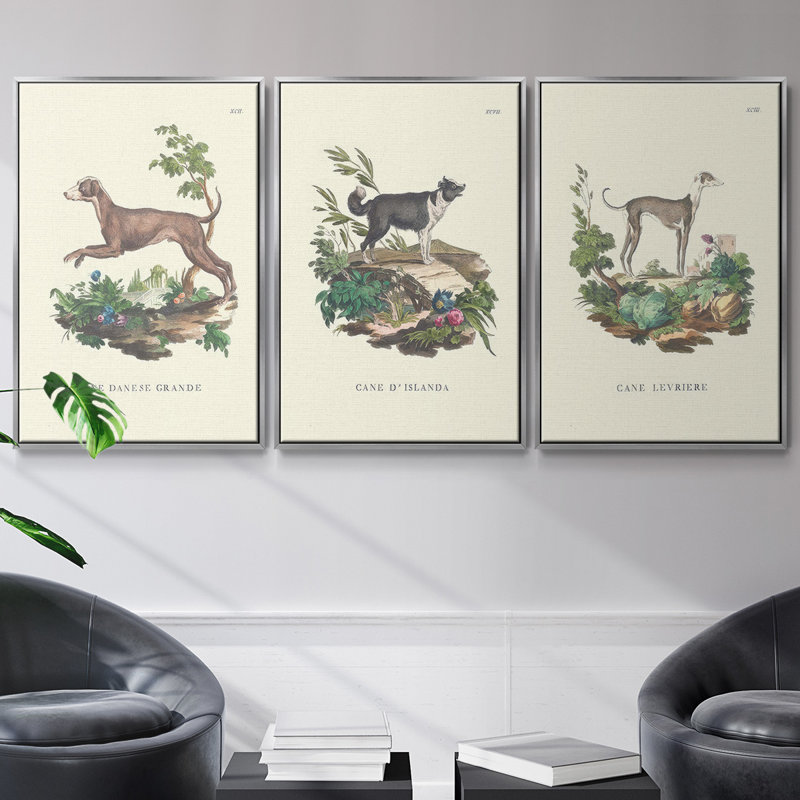 Lamarck Shells IV, ensemble de 3 toiles encadrées sur toile, Encadrement argenté, H 40 po x l 78 po