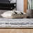 Sturdevant Performance Southwestern Rug-735554167
