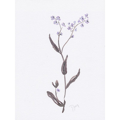 Lavande, fleurs sauvages I, reproduction d'affiche par Beverly Dyer (24 x 36) # BDRC193A1