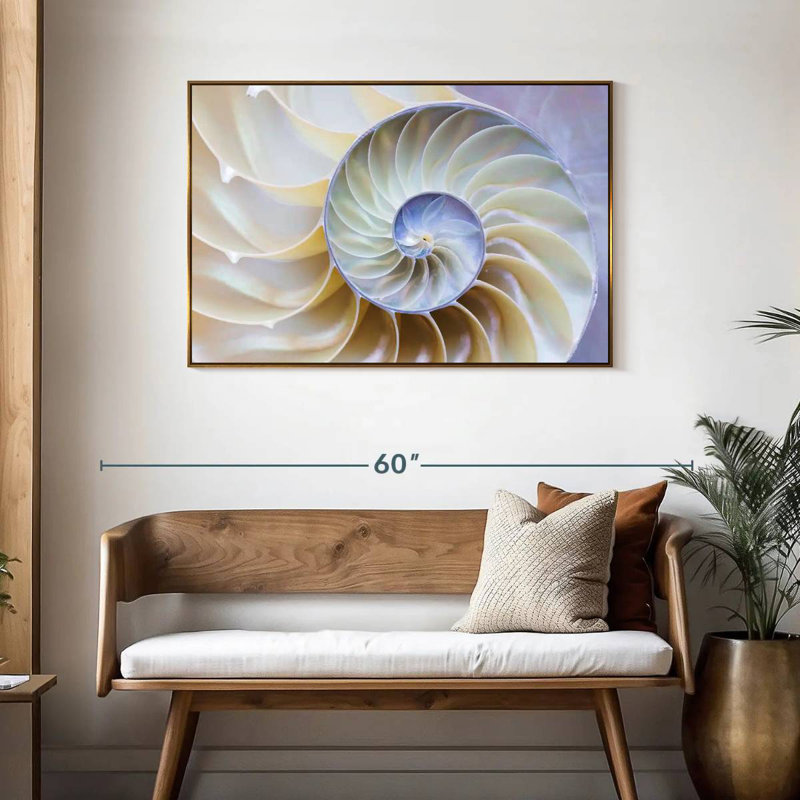 Empty Nautilus Shell, 25" X 17", Floating Frame Gold