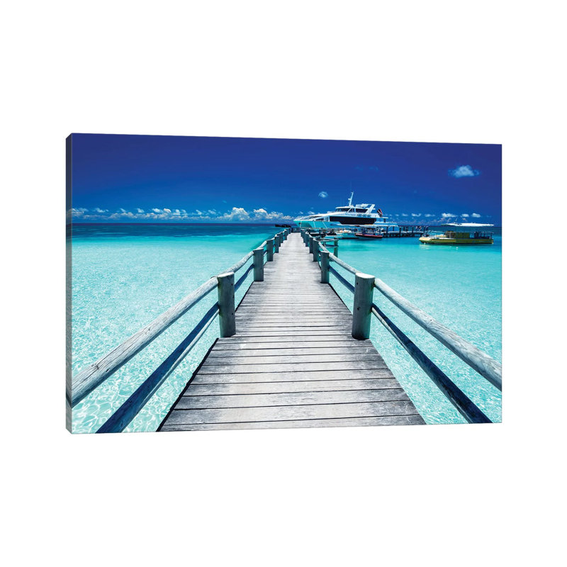 Beach Turtle Nature Close-Up by James Vodicka - Wrapped Canvas Gallery-Wrapped Canvas Giclée, 20.32cm H x 30.48cm W