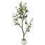 152cm Plant