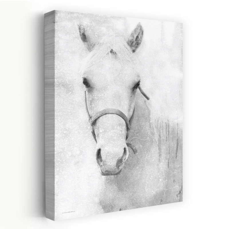Tempête dans la brume, art abstrait de portrait de cheval contemporain, H 24 po x l 16 po
