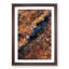 Forest in Piedimonte Matese Italy - Framed Print-55577791-55577788