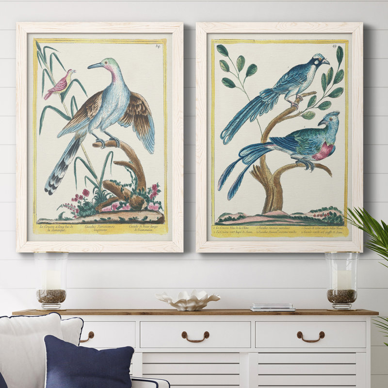 Toile encadrée Pastel Birds V Premium - prête à être accrochée, H 20 po x l 34 po x P 1,5 po, Toile avec cadre blanc