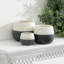 Avyanna Ceramic Pot Planter