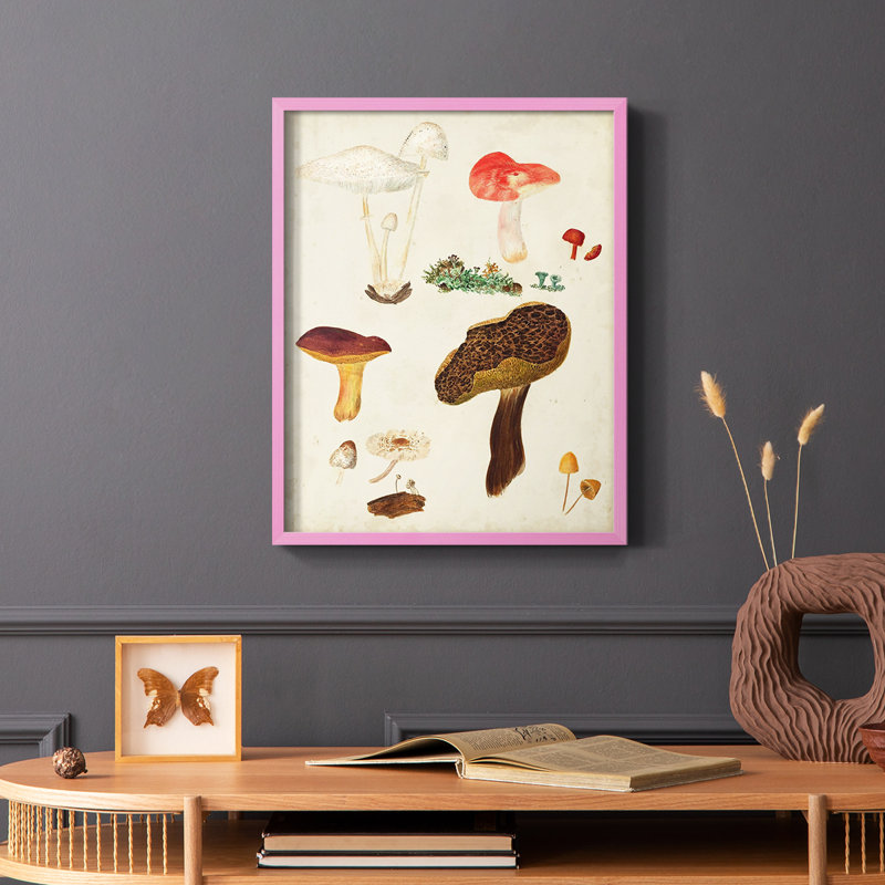 Mushroom Species XI Framed Print - Solid Wood, Pink, 10" H x 8" W