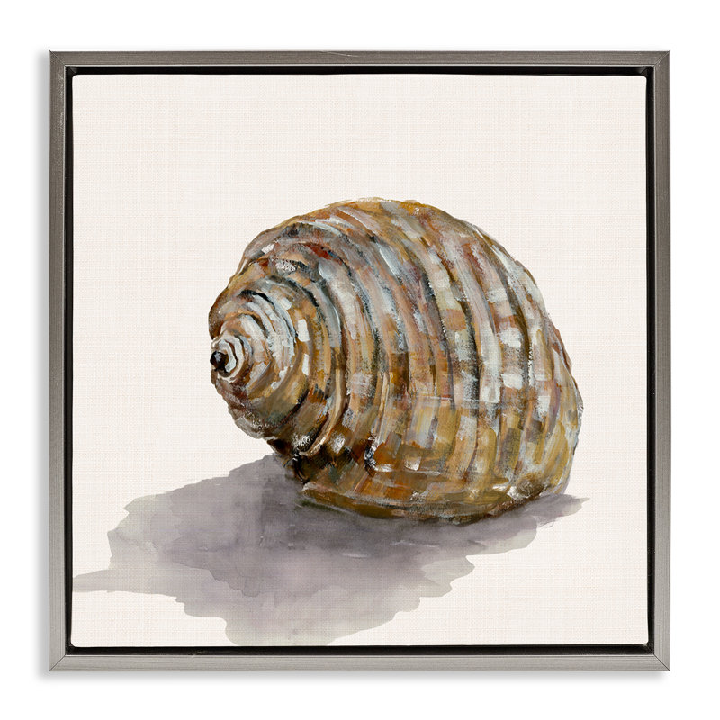  "Coquillage courbé sur toile flottante encadrée" par Jacob Q, Cadre flottant gris lustré, H 18 po x l 18 po
