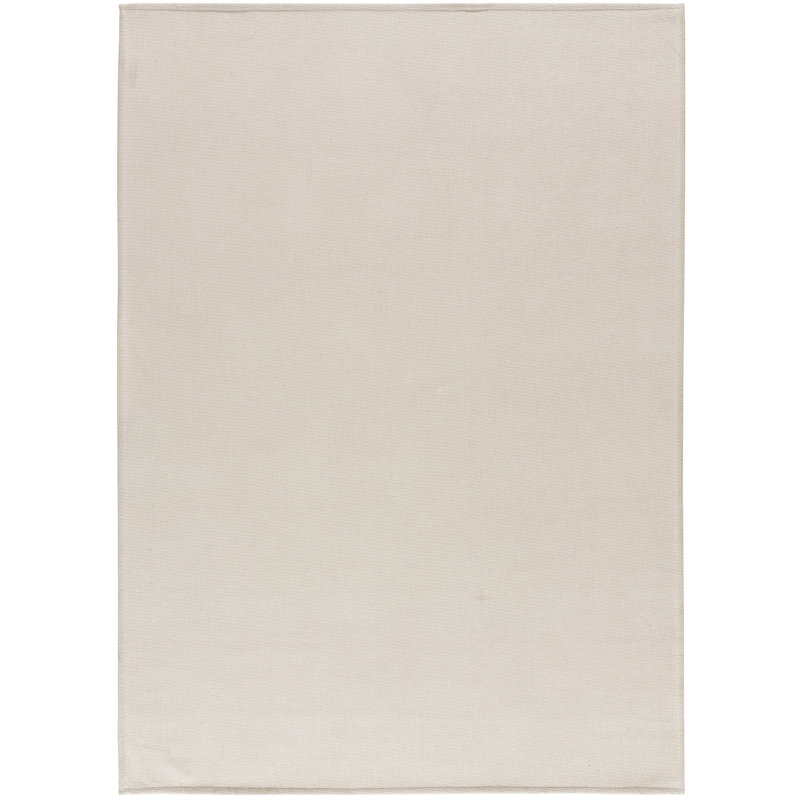 Armbrister Solid Colour Flatweave Area Rug, Rectangle 140 x 200cm