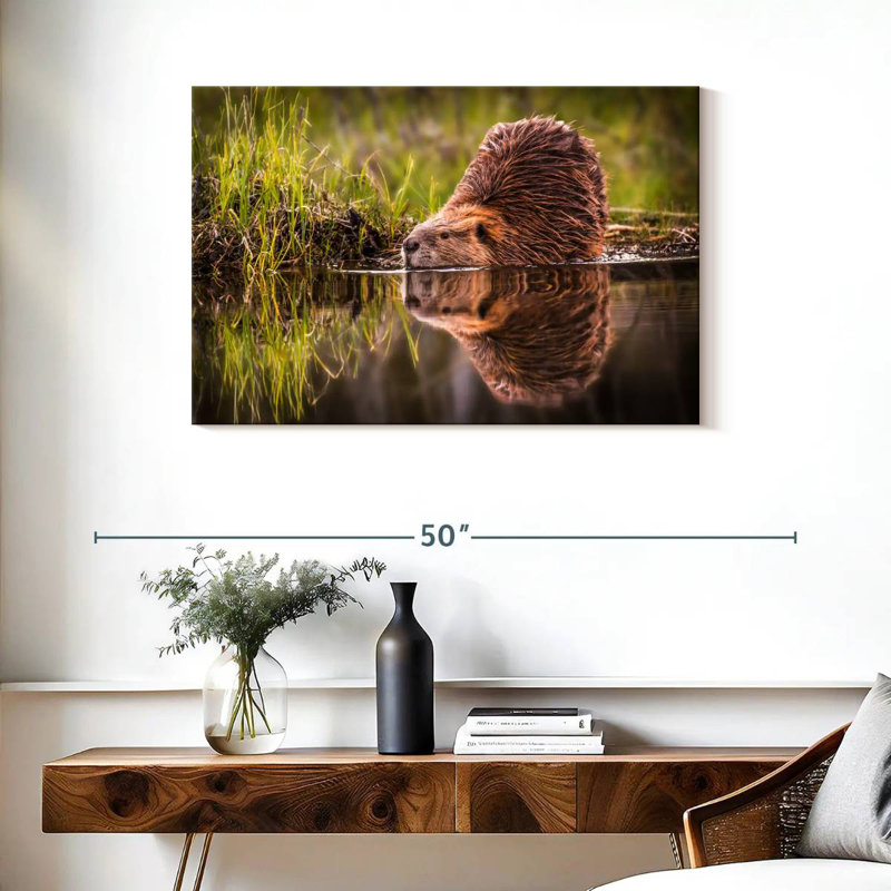 Brampt Beaver, 24" H x 36" W