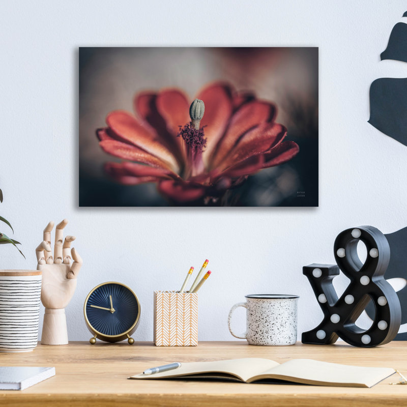 'Elevation Bloom' by Nathan Larson Acrylic Glass Wall Art, 12" H x 16" W x 0.13" D