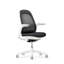 Haworth Breck Office Chair-462918339-462908730