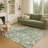 Machine Washable Indoor/Outdoor Chantille ACN2335 Paisley Rug-716169687