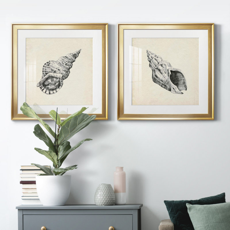 Seashell, croquis au crayon I Seashell, croquis au crayon I - ensemble de 2 cadres photo, H 17,5 po x l 35 po x P 1,5 po
