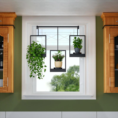 Porte-plantes mural pour plantes d'intérieur